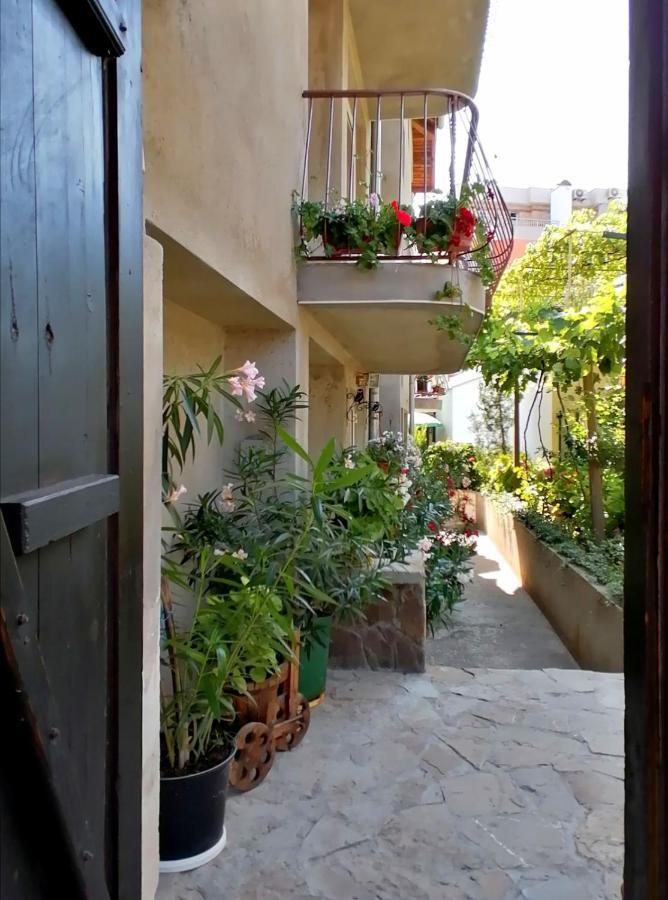 Guest House Sokratovi 奥布佐尔 外观 照片