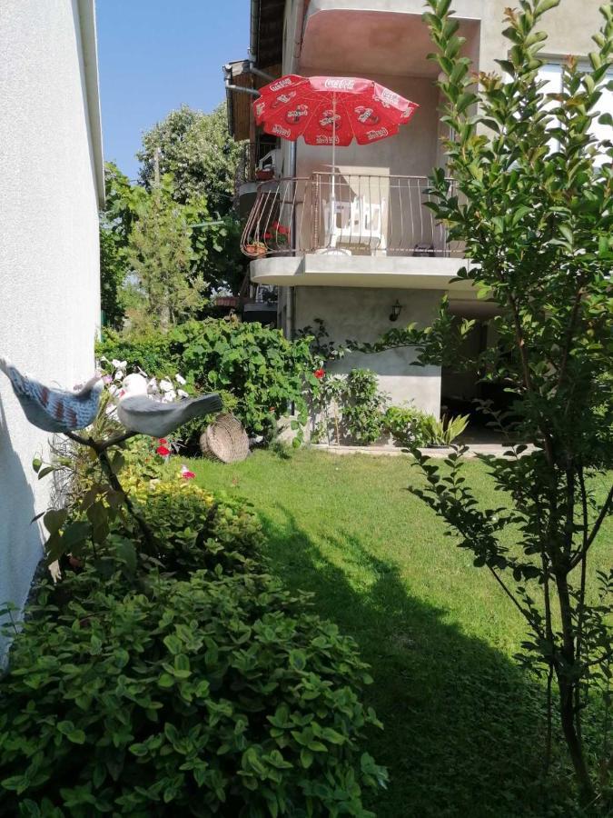 Guest House Sokratovi 奥布佐尔 外观 照片